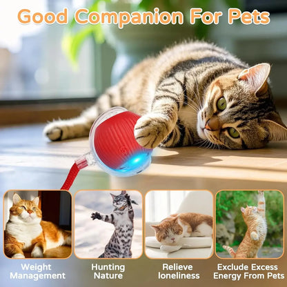 New Cat Interactive Ball Toy Automatic Rolling Ball Faux Tail Rechargeable Smart Pet Electric Toy Dog Cat Training Imitate Mouse
