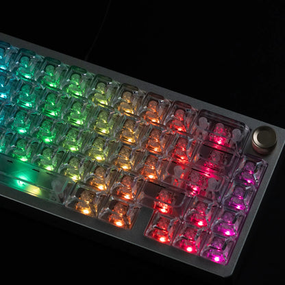 Womier 126 Keys Glittered Diamond RGB Shine Through Keycaps ASA Profile Personalized Set Gateron/Cherry MX Mechanical Keyboards