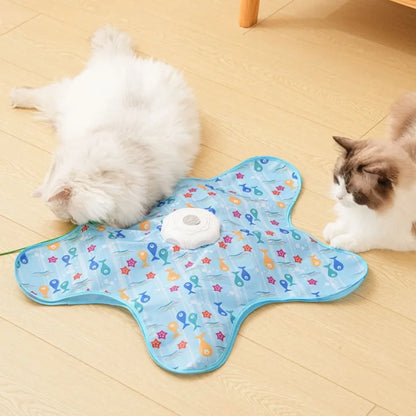 Cat Toys Interactive Hide and Seek Cat Toy with Mouse Squeaky Motion Activated Moving Concealed Feathers Kitten Teaser Toy